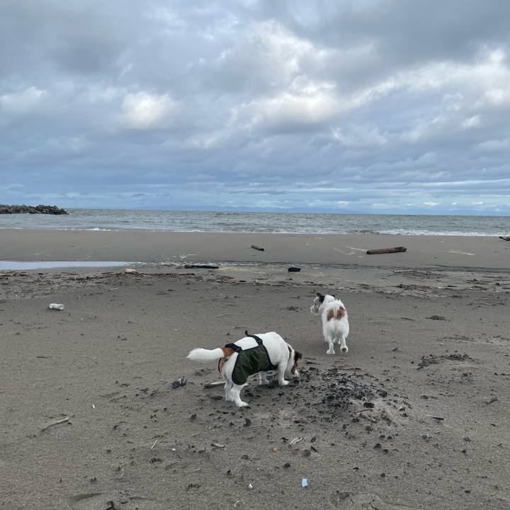 D1e6e8a8 702a 40ad b95f ed20d37a82a9 1757808250554