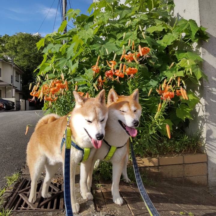 D1e705ee 1d7e 4944 b438 77b2e1a6c063 1688876809949