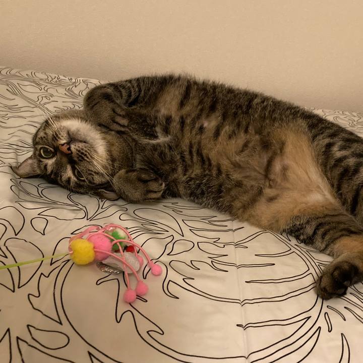 D1e70d42 0fcc 46f3 9d5f 479aefbe5ece 1653921124488