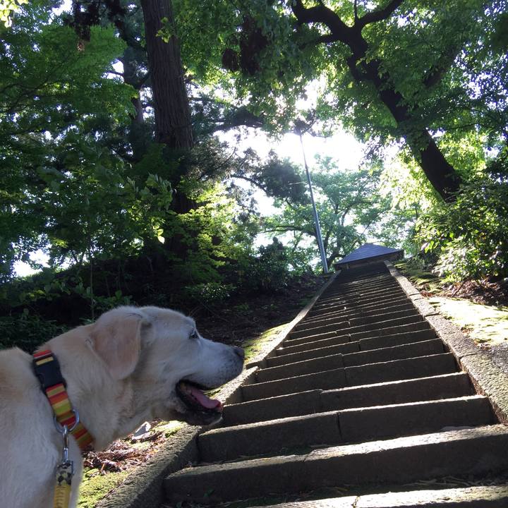 D1e715f5 5ed7 4b2f b59d 7d0ed4703264 1526974994007