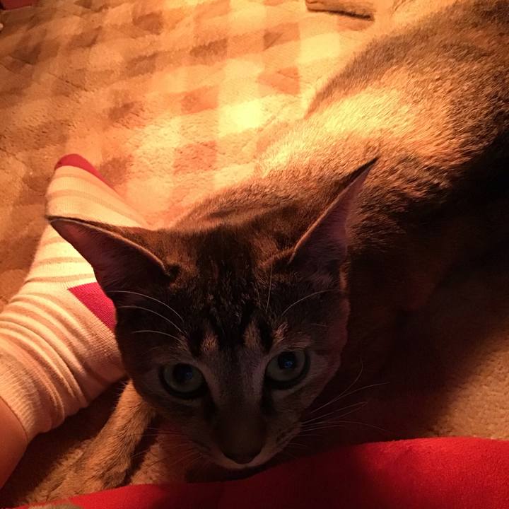 D1e74729 92fe 40bd 8b05 58bc08ec6ff1 1581323498297