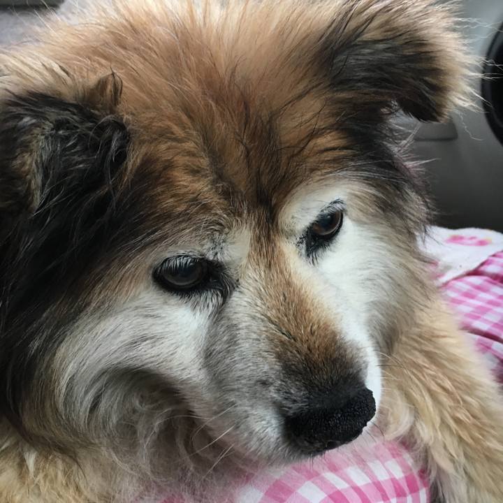 D1e75bdc fa10 4fd5 a78e f13298e911f5 1599387834914