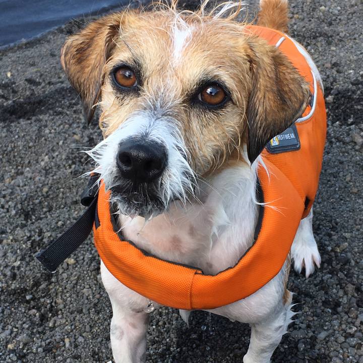 D1e7683c 4894 4080 8558 8c4c5c39ceaa 1569625428273