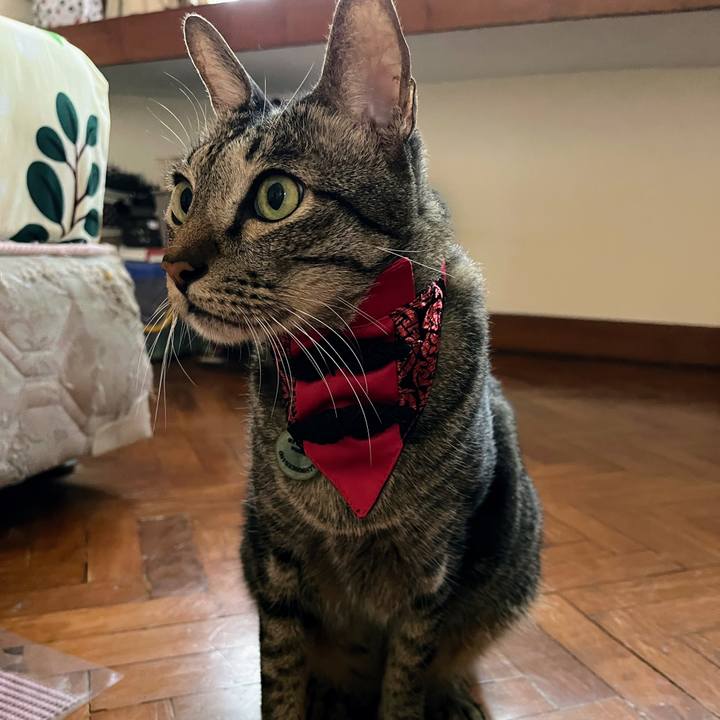 D1e79498 32eb 4ccd b1b5 7a965f060e15 1771312722954