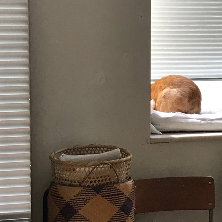 D1e7cc0b f6d9 4bca 9759 9d54d1f9ff59 1568308784918