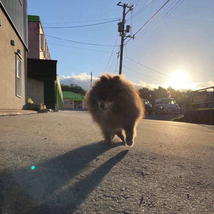 D1e7eb1d 7796 4d9e abfa c8976a7506c3 1726094567047