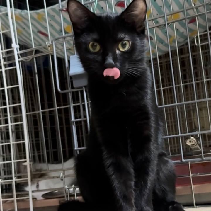 D1e8258e 0bc4 4973 b2d6 591e9cad156e 1733349773630