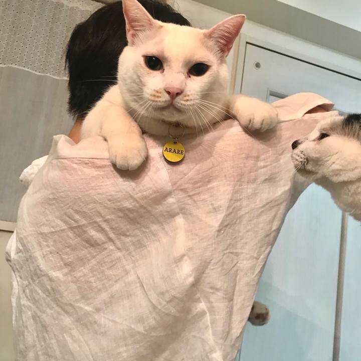 D1e87008 1e48 440c b94e 807a0627dae1 1536576468135