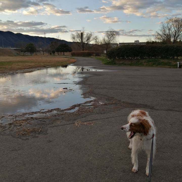 D1e88a90 4dc9 4d12 b5ba ea8a0998f51f 1580169024799