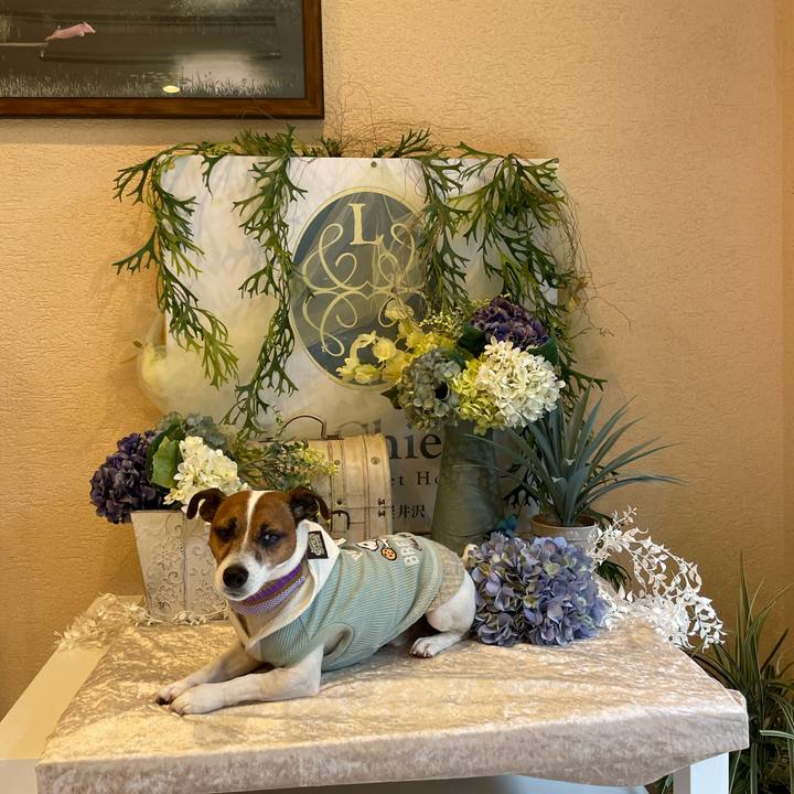 D1e8d568 1442 4156 bd02 488bb161ce0c 1716347248249