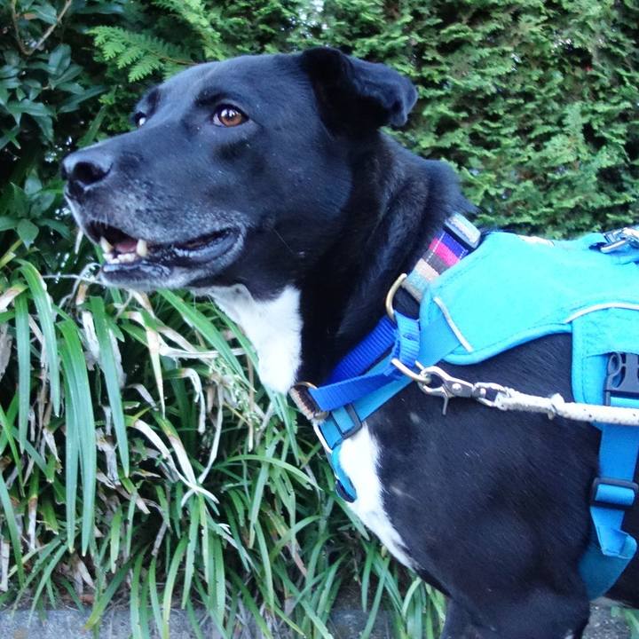 D1e912b8 f0e4 4c7e a767 711441cefe5d 1636159056212