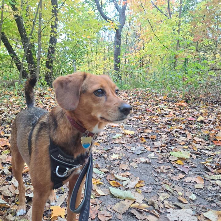 D1e91a17 7f85 49e8 b395 507c1f95fcd6 1762179650621