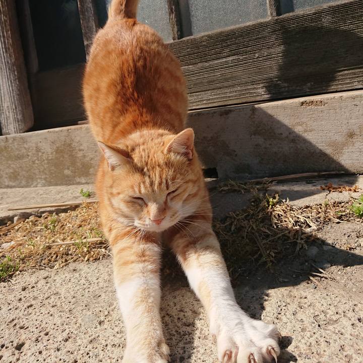 D1e9546f 4c5c 41ad 92ed a2422c4e6f07 1586582889240