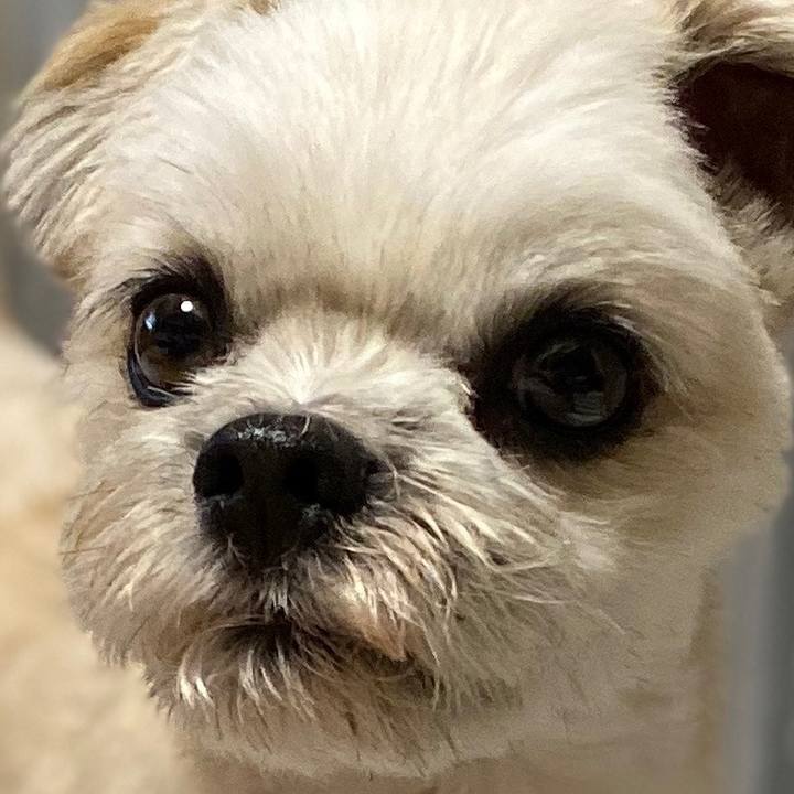 D1e9ca28 334e 4c9a 967f 90953d9d61d8 1571399403347