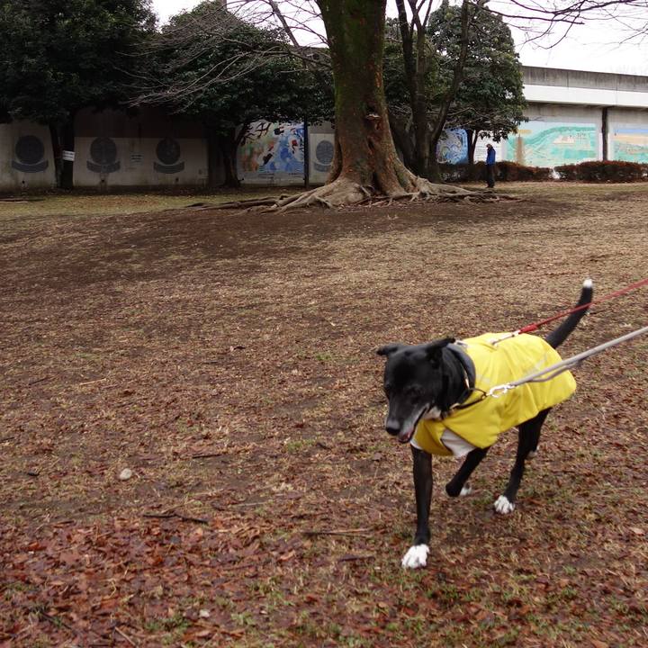 D1e9d39f d1c4 4db4 8b41 89ade8a17054 1738542645081