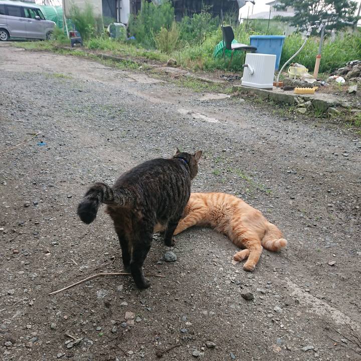 D1e9f277 1574 490c bbc2 05680b1eb281 1661205091001