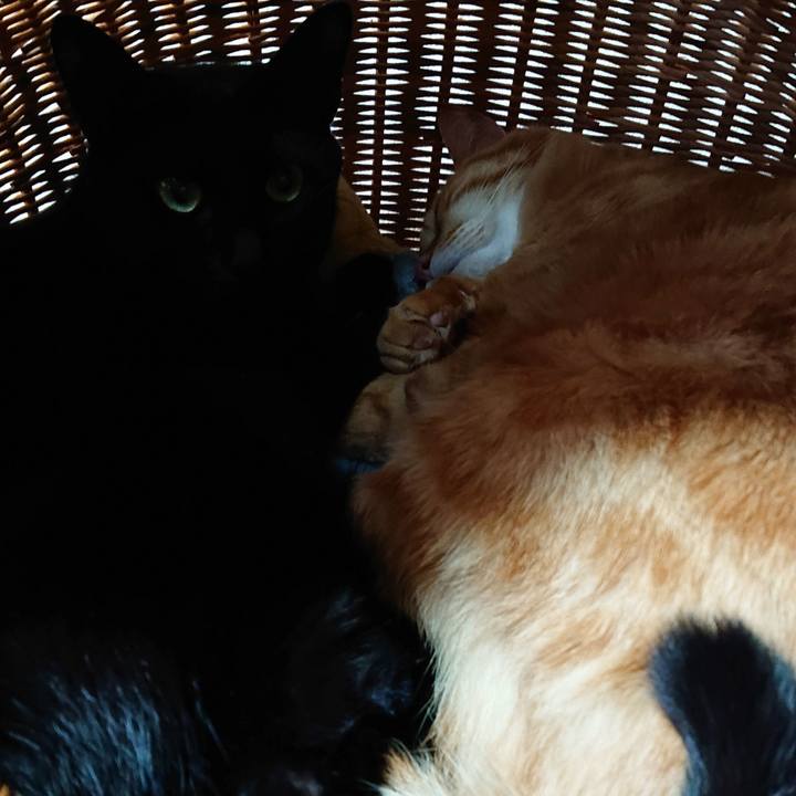 D1e9f377 8352 4cf6 9cf7 9a8b9b8fe0b3 1551583037532