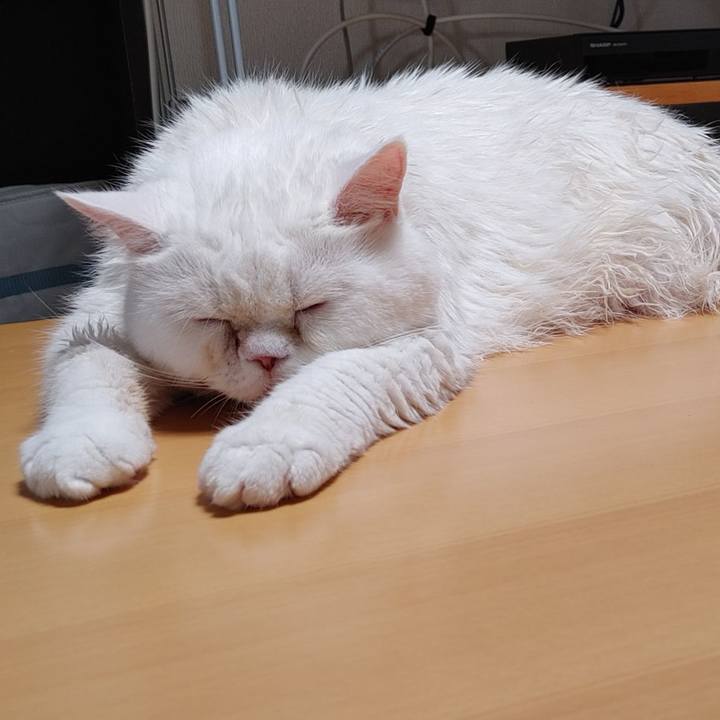 D1ea0829 4d14 410b 850a 7b03e02da8d4 1720257627313