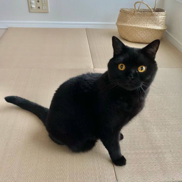 D1ea7dd8 4307 4380 9e2d d96205e1b3fa 1633037494281