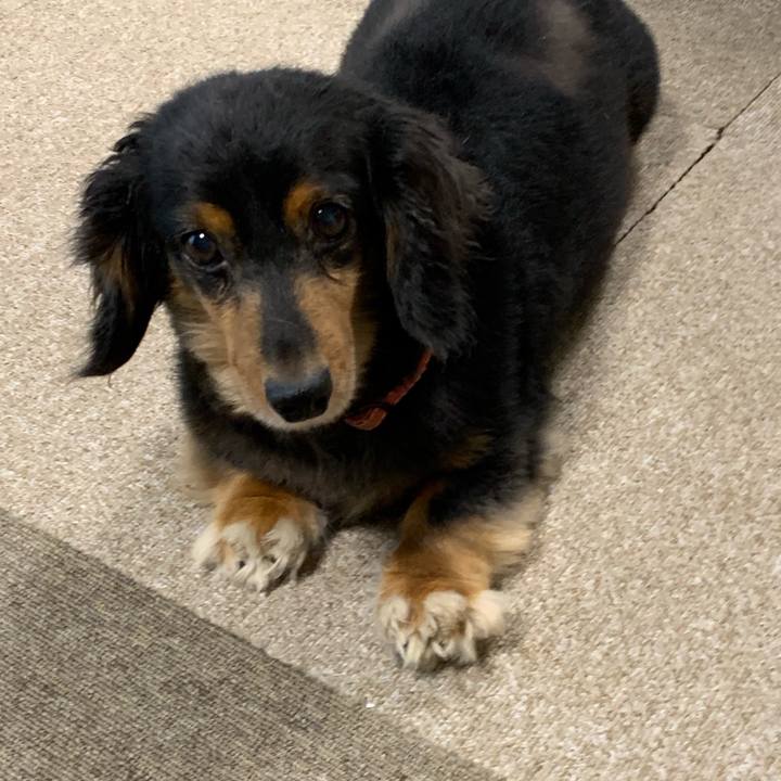 D1ea841e ce79 4905 b244 b50e32f748f0 1566424591192