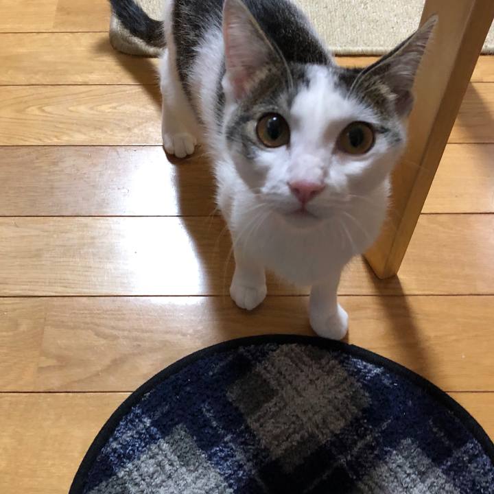 D1eab730 4e60 447b ac63 a9cf0a9d046e 1572730239823