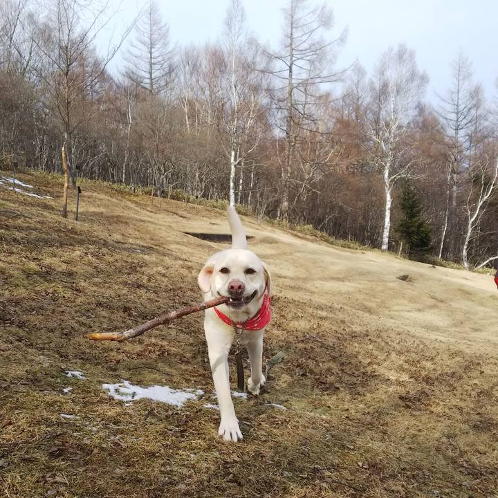 D1eaf539 4986 48e1 aa1b ed064de61572 1546755405573