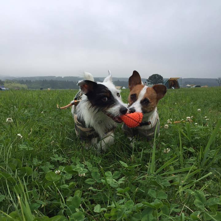 D1eaf553 1a27 466e af1a 2367b7c29bcd 1688274202836