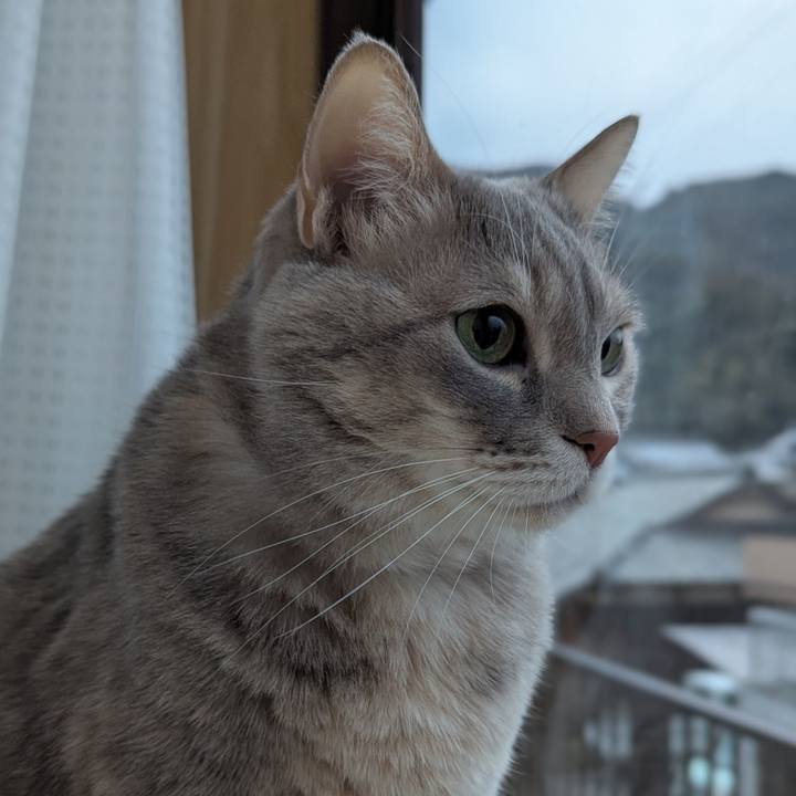 D1eb065d c8fc 4467 863e ab83807244ed 1738405867418