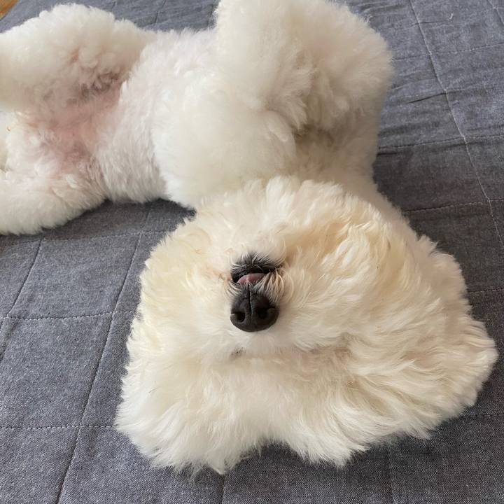 D1eb5269 e481 441f acfb 4eff320cf3a1 1633583980299