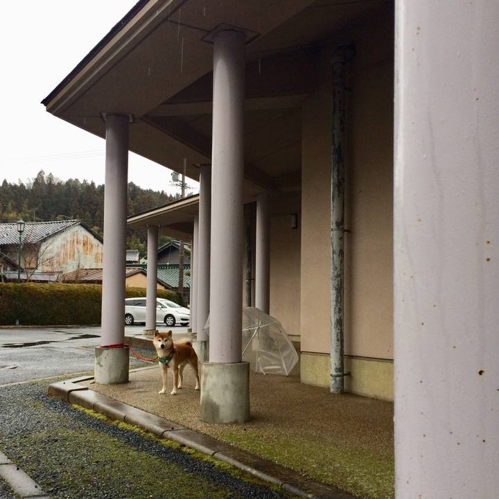 D1eb8777 85e6 4a5c 9c85 8bd7ee393e9a 1515395418693