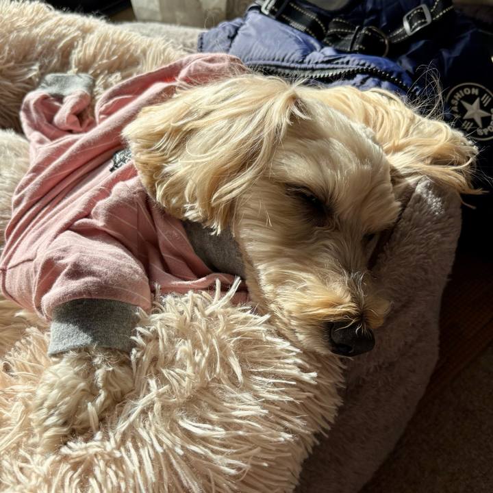 D1eb9dff a2d1 4284 b901 52f5c5abb3b6 1767500230150