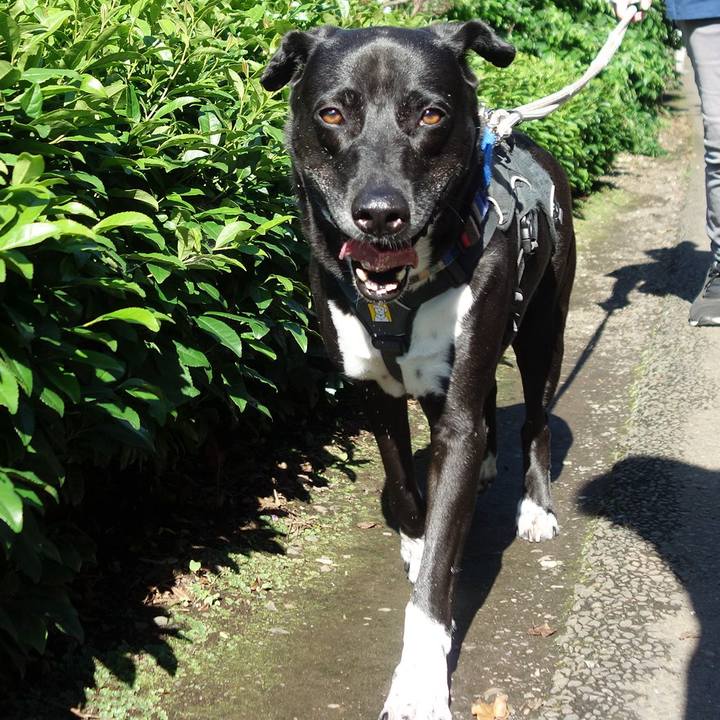 D1ec3581 4007 4ea7 96a3 687d91d23acb 1653698604226