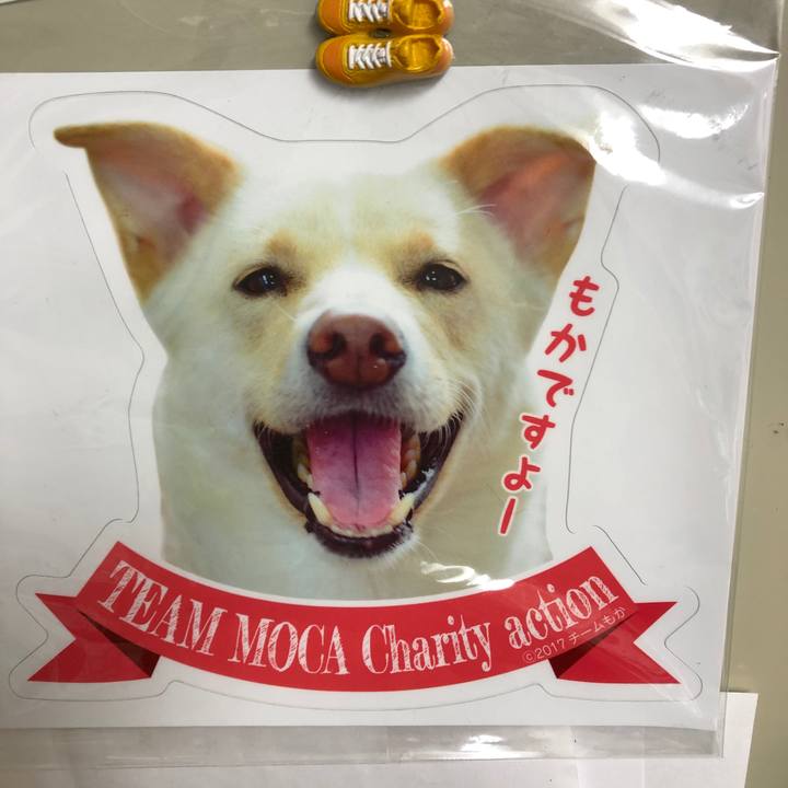 D1ec7606 a643 40be bb18 b0aa9524b275 1550290884231