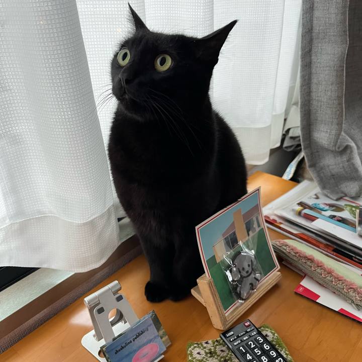 D1ec7939 75eb 4c1d 9853 121baf69567e 1702961365772