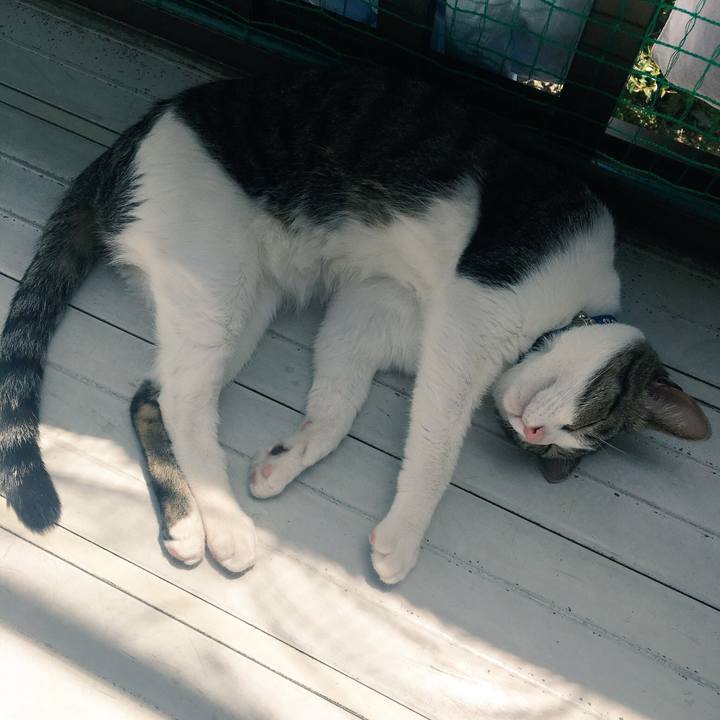 D1ec8a3e 5b54 456e 88fd f269fab92ce0 1526352957319