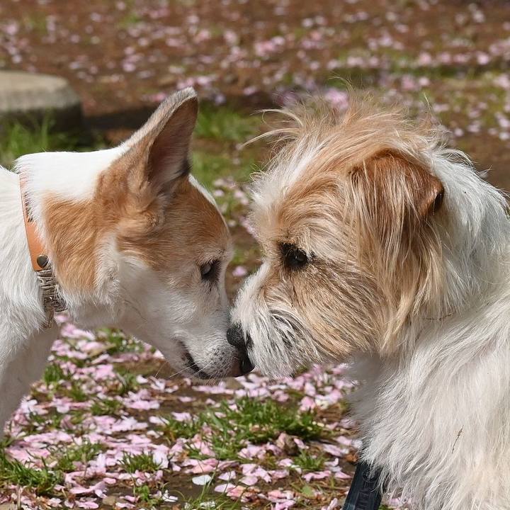 D1ecb981 a857 4ab4 952b 90bbd2d9ae60 1776433031034