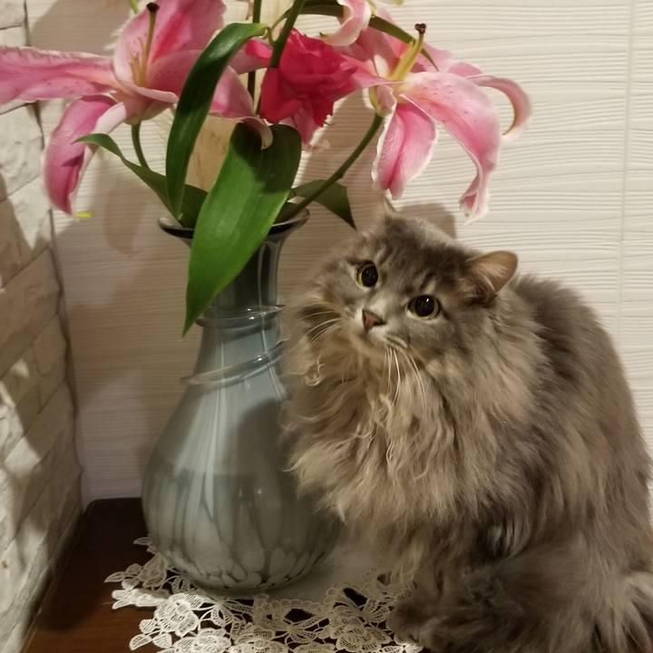 D1ecba10 8a59 4c54 8163 33ceaad16d66 1578746997151