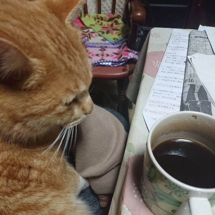 D1ecde2b bd45 4adc afb9 3f6877c191ee 1579639548664