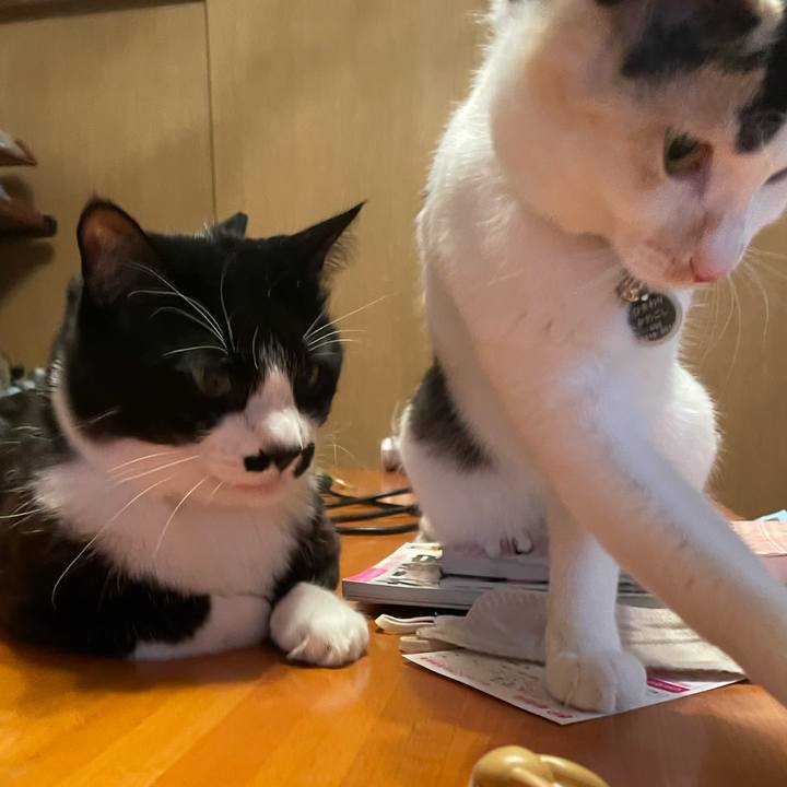 D1ecf6d7 5785 4f2c 844a b27b36655260 1739452550339