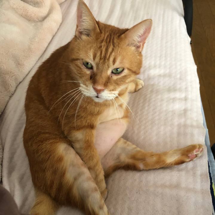 D1ed10b5 7d57 41dc 9daa 3379eb8debc3 1706425650142