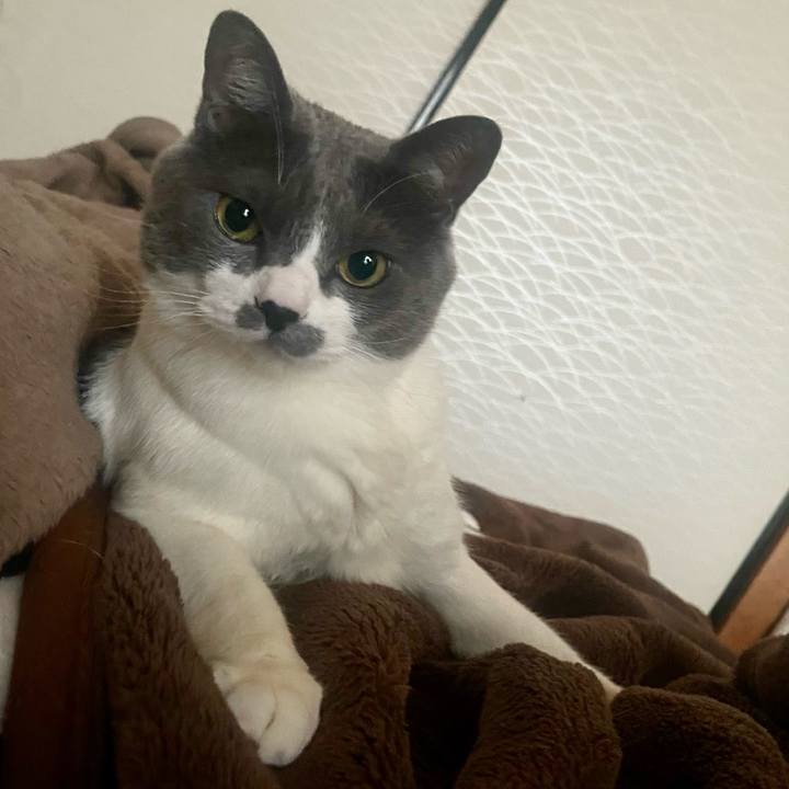 D1ed7b12 eb04 41f4 b8c4 033a46abaf34 1713646524466