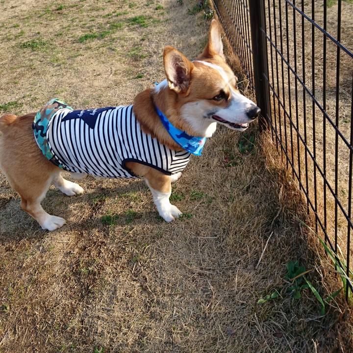 D1ed923f 533c 411f 92bf a2fec4c0dbd2 1583897326633