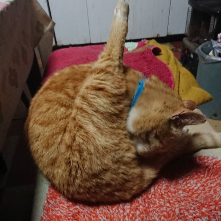 D1eda079 481f 490b afd2 a6b479728437 1556482593058