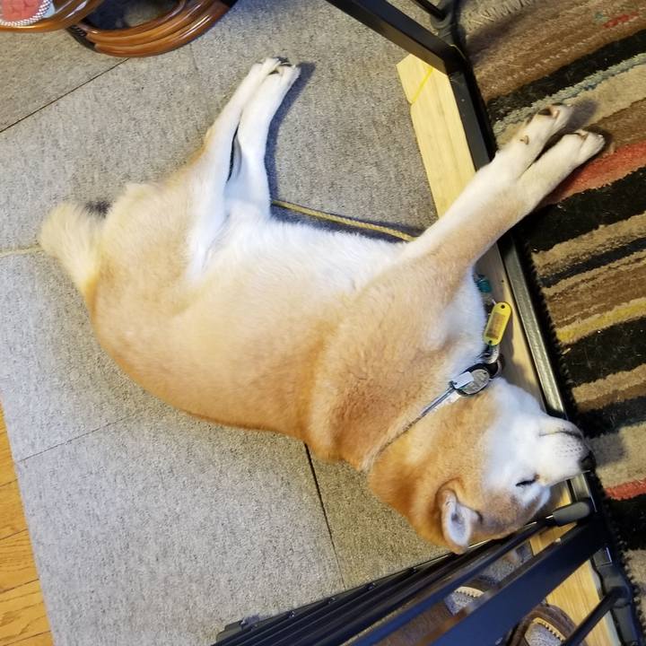 D1edd891 a382 4030 a859 d35b011f2b16 1640822175462