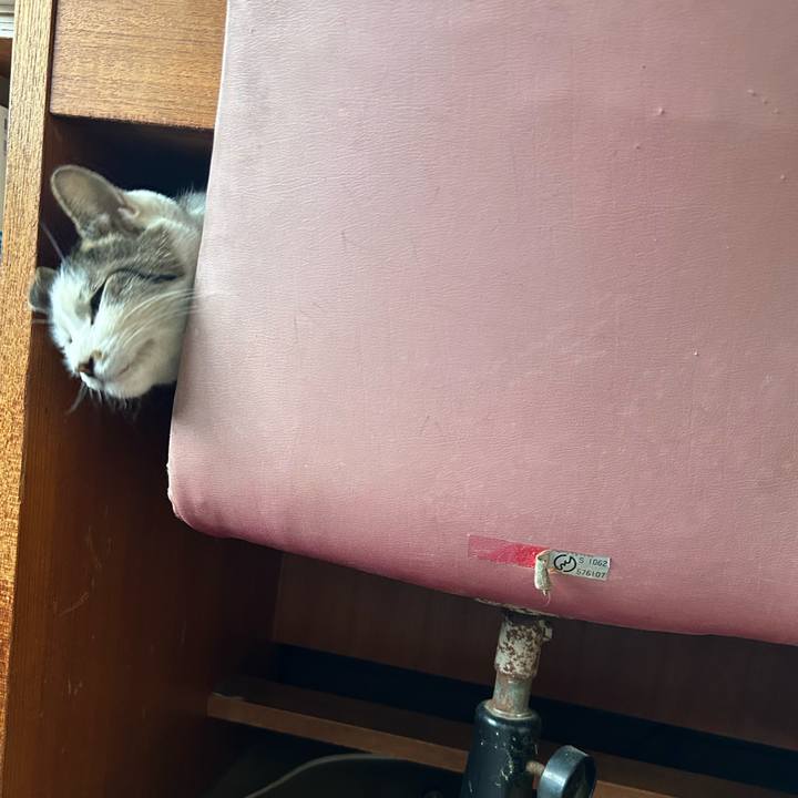 D1ee03d8 70be 4015 89be c938334177b6 1740993808237