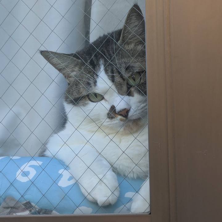 D1ee4afb f3cb 4e78 8efa 51628b0e8d3e 1757284369025