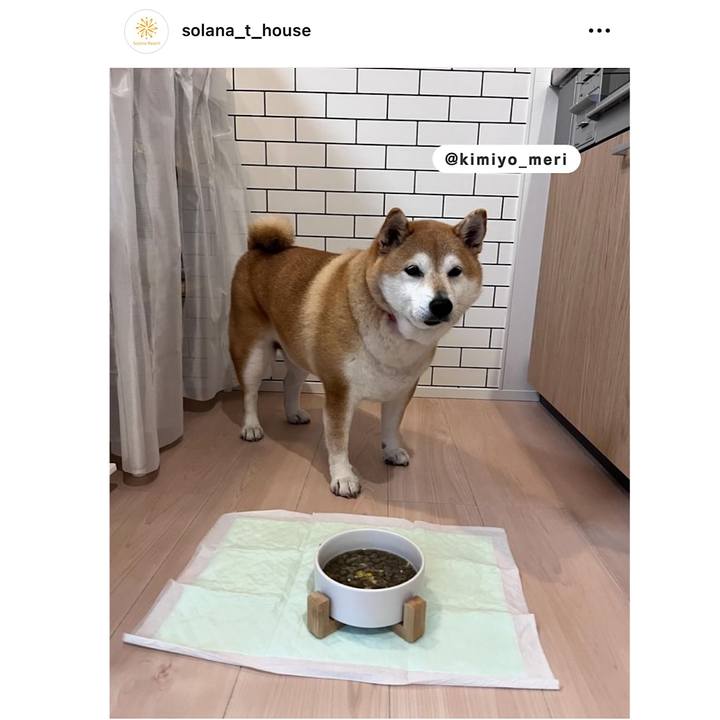 D1ee99f7 0e29 4985 bc3f 6b83257d47f9 1717977208194