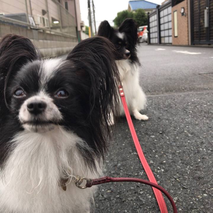 D1eeb2da 0b4c 454a 919f f53b4966d9eb 1536960732697