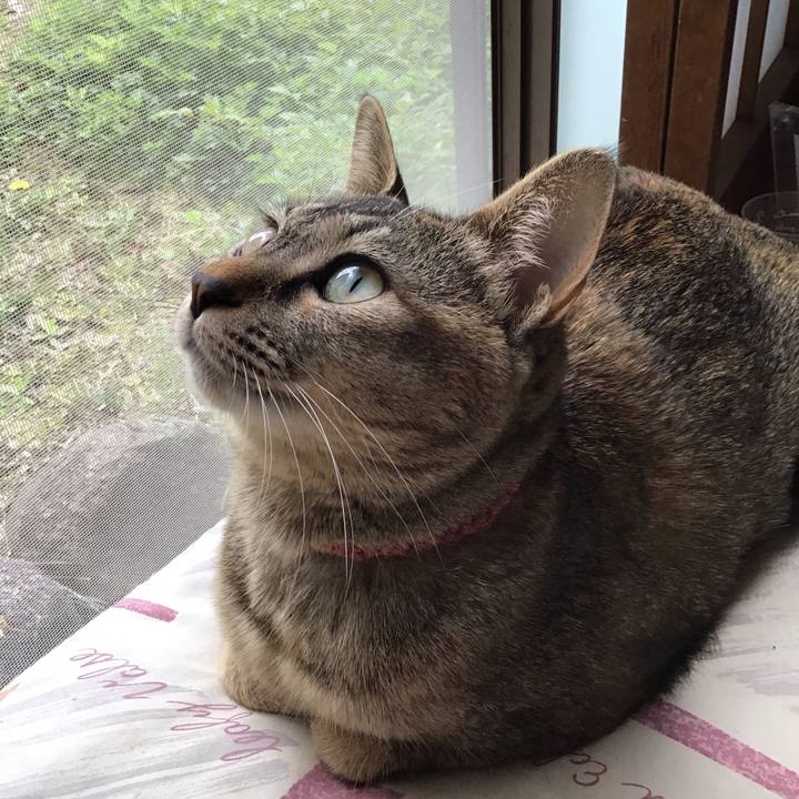 D1eebd45 c904 411a 96e3 2f2866f9123a 1585978715902