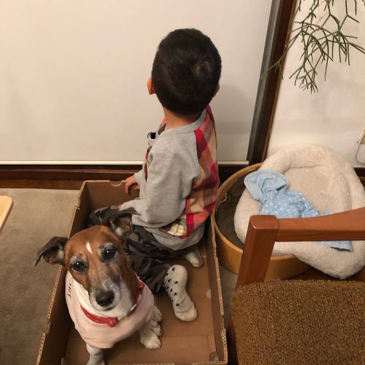 D1ef1b9b 761a 4d29 bda2 d45dce5bc31a 1608764020026